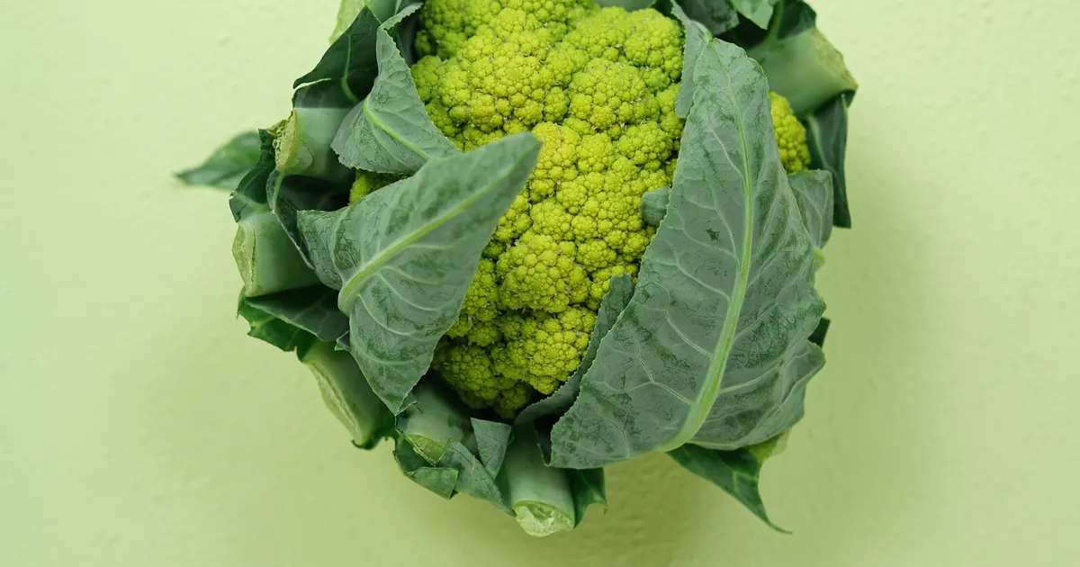 Fresh green produce